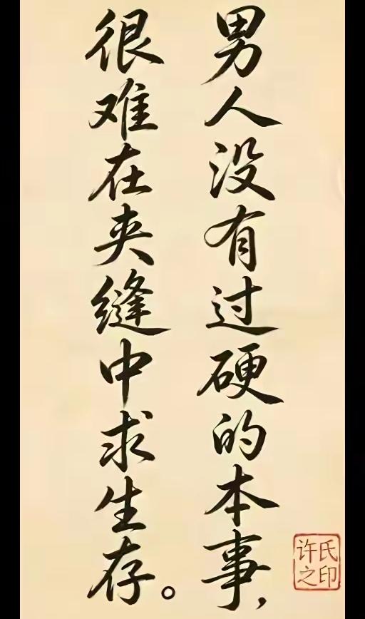 这幅书法运用了黄庭坚“长枪大戟”的笔法，以及吸收欧阳中石“中锋用笔”的精髓，堪称