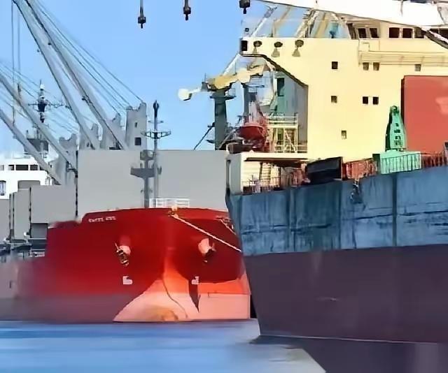 当一船满载6.9万吨巴西大豆的货轮靠泊江苏泰州码头时，谁也没想到，大豆中混入了约