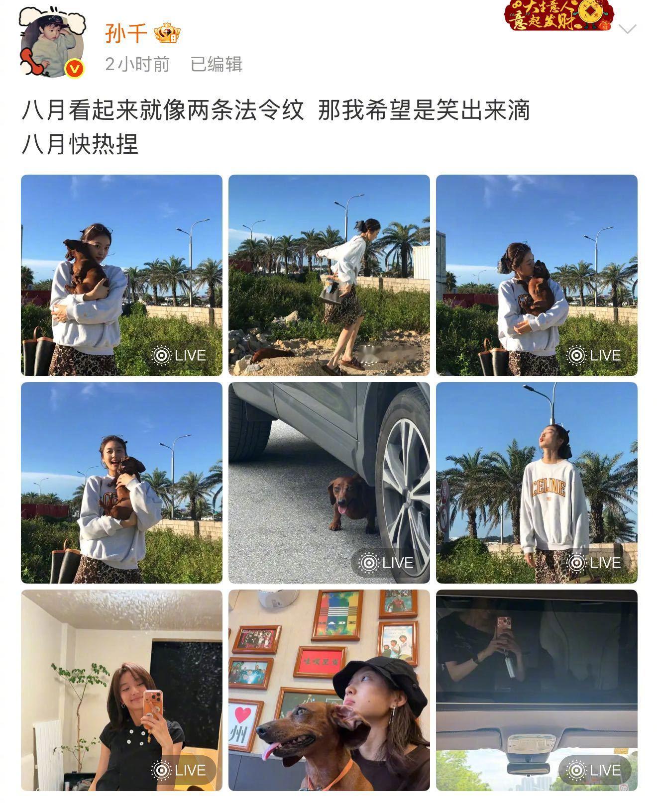 孙千八月看起来就像两条法令纹孙千小狗一看就是亲生的孙千真的好有想象力啊～“八月