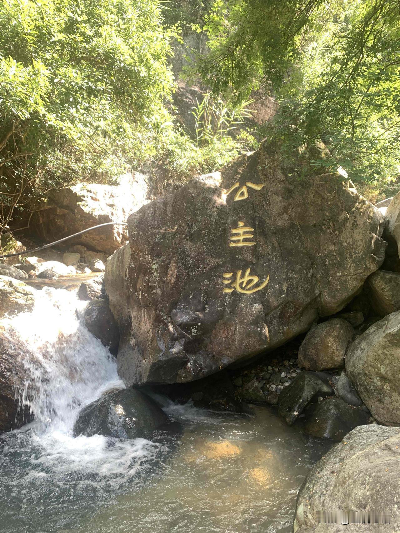 谢道韫：千年了，谁还记那场雪与那句诗？七岁谢家庭院，雪下得正欢。你一句“未