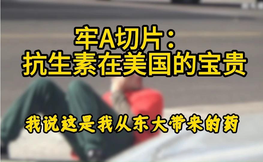 牢A切片: 抗生素在美国的宝贵