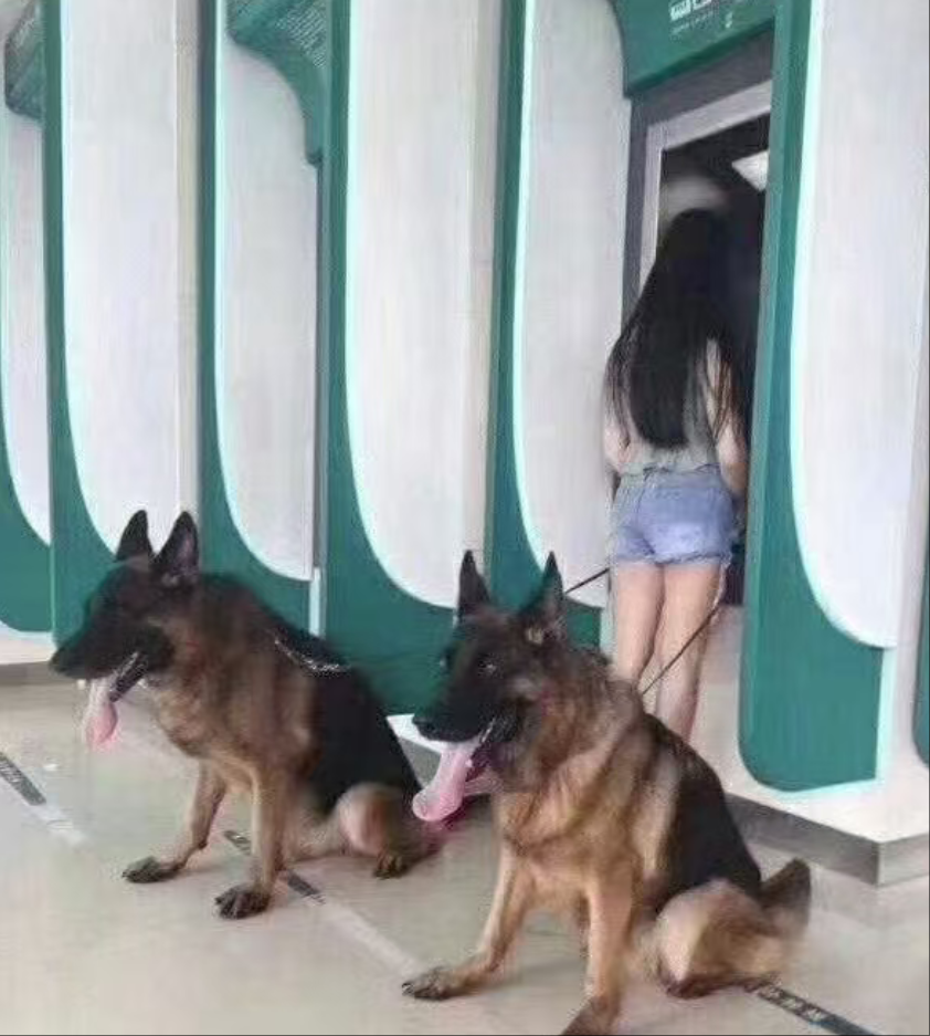 这是要来取多少钱啊....