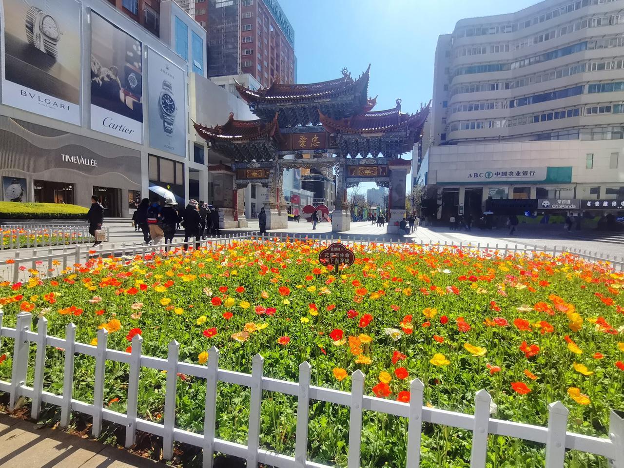 昆明这段时间简直就是对“老天爷追着喂饭吃”这句话的最直观诠释。全国各地一片凄风