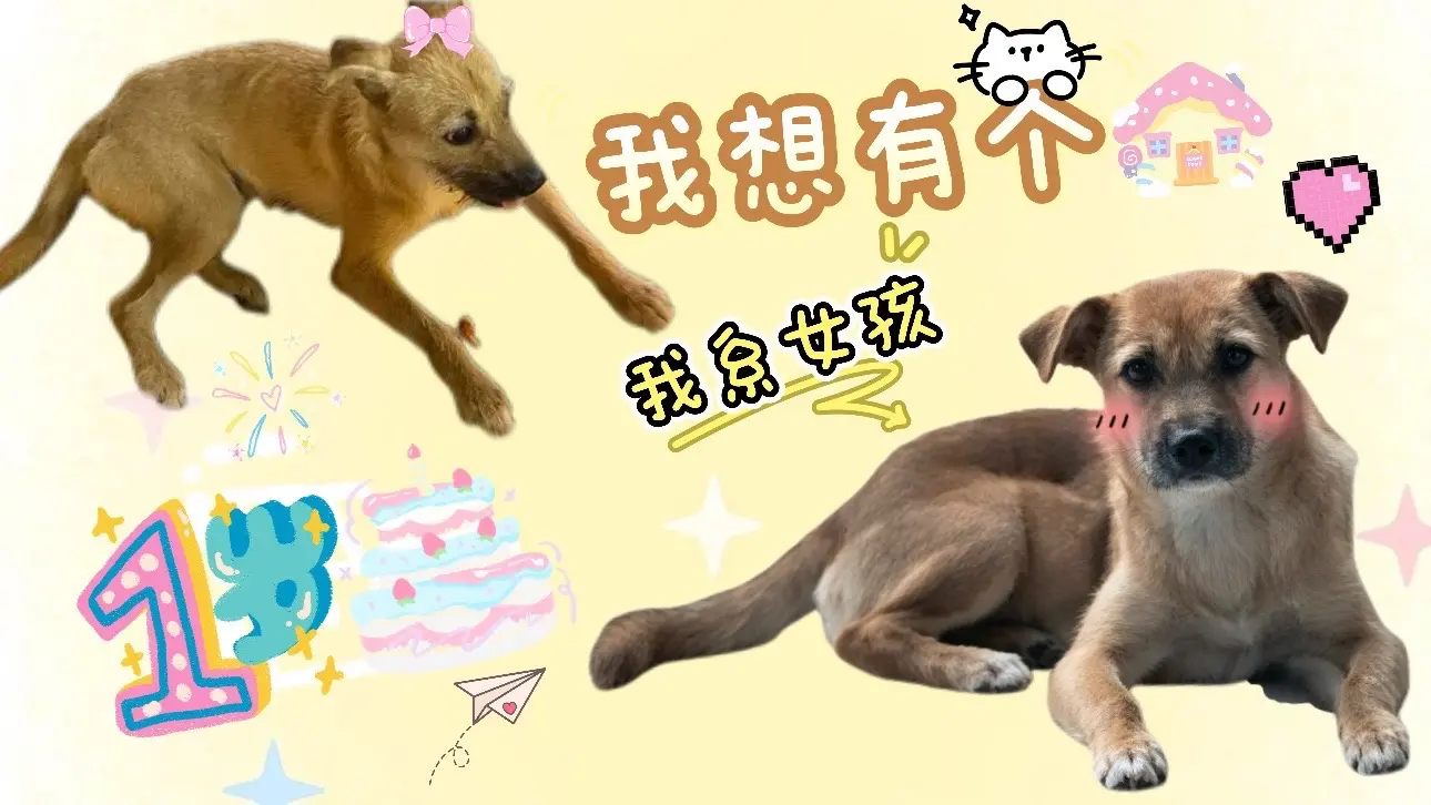 找一个江浙沪有缘的宝宝