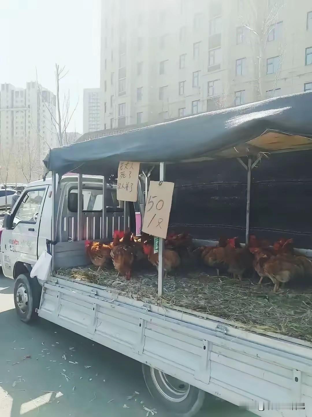 难怪他老婆不跟他了，原因是有的[捂脸哭]