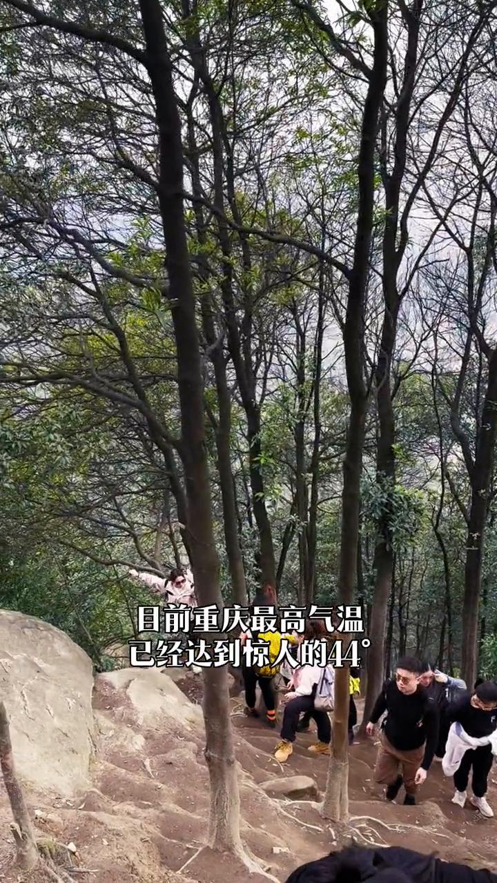 重庆封山公告正式封山。重庆封山公告来了。因为连晴高温，目前处于森林火灾极高风险