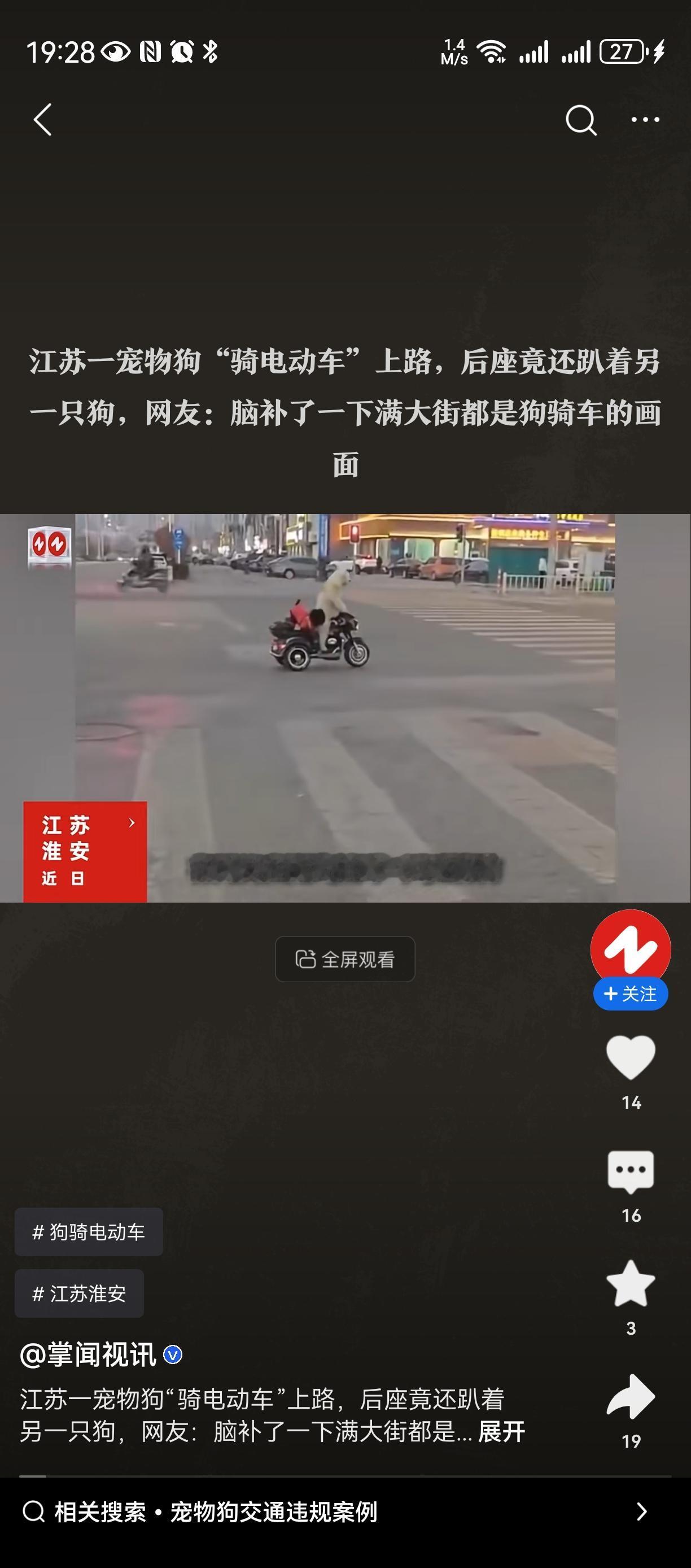 中国特色：猫狗地位高之狗🐶开车🚗无绳恶狗伤人狗驾驶车辆带狗上路[捂脸哭]