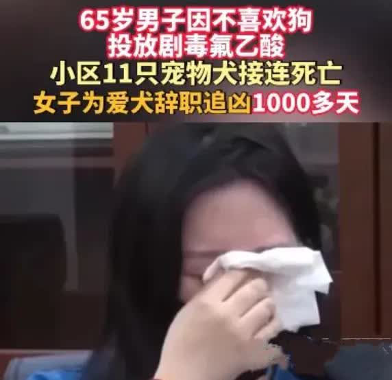 太歹毒了！狗尿浇轮胎竟毒死11只宠物犬。就因为车轮沾了点狗尿，小区男子
