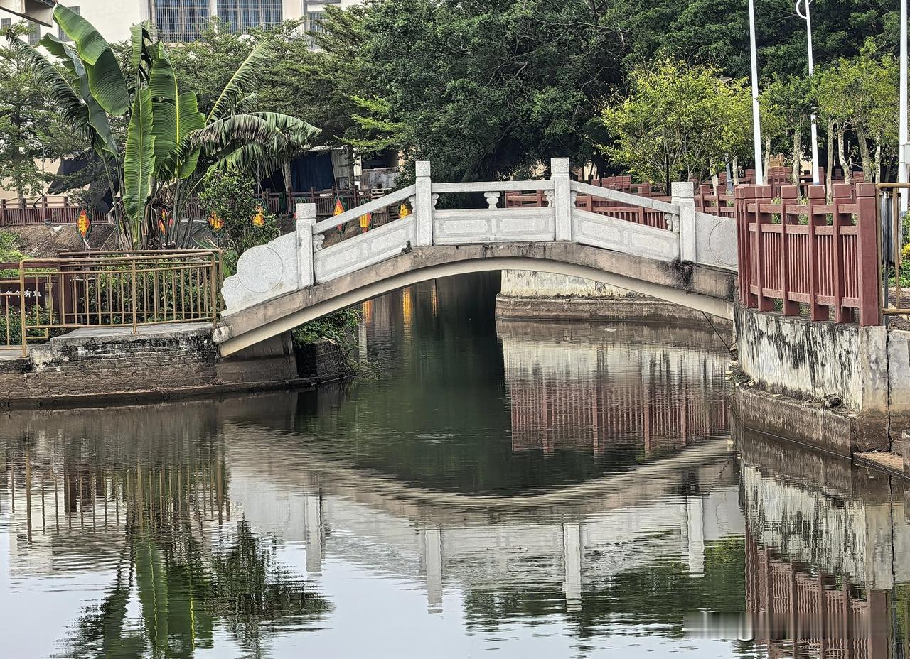 升级鸿蒙6后，我意外成了女同事们的专属摄影师。前段时间花了一个月工资入手了一部