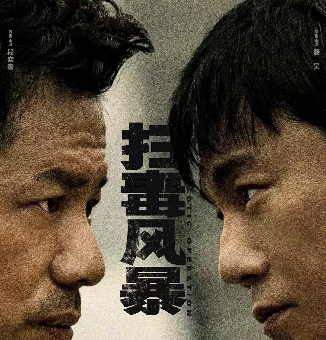平台认证的今年五部爆剧，你追过哪些？《扫毒风暴》段奕宏、秦昊《利剑玫瑰》迪丽