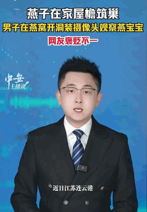 家有燕窝是福！江苏连云港，张先生家屋檐下飞来一对燕子安家。夫妻俩衔泥带草，忙活了