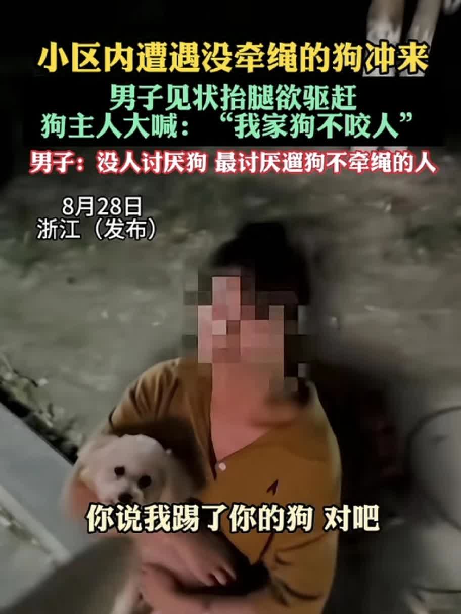 8月28日,浙江（发布），小区内遭遇没牵绳的狗冲来，男子见状抬腿欲驱赶，狗主人大