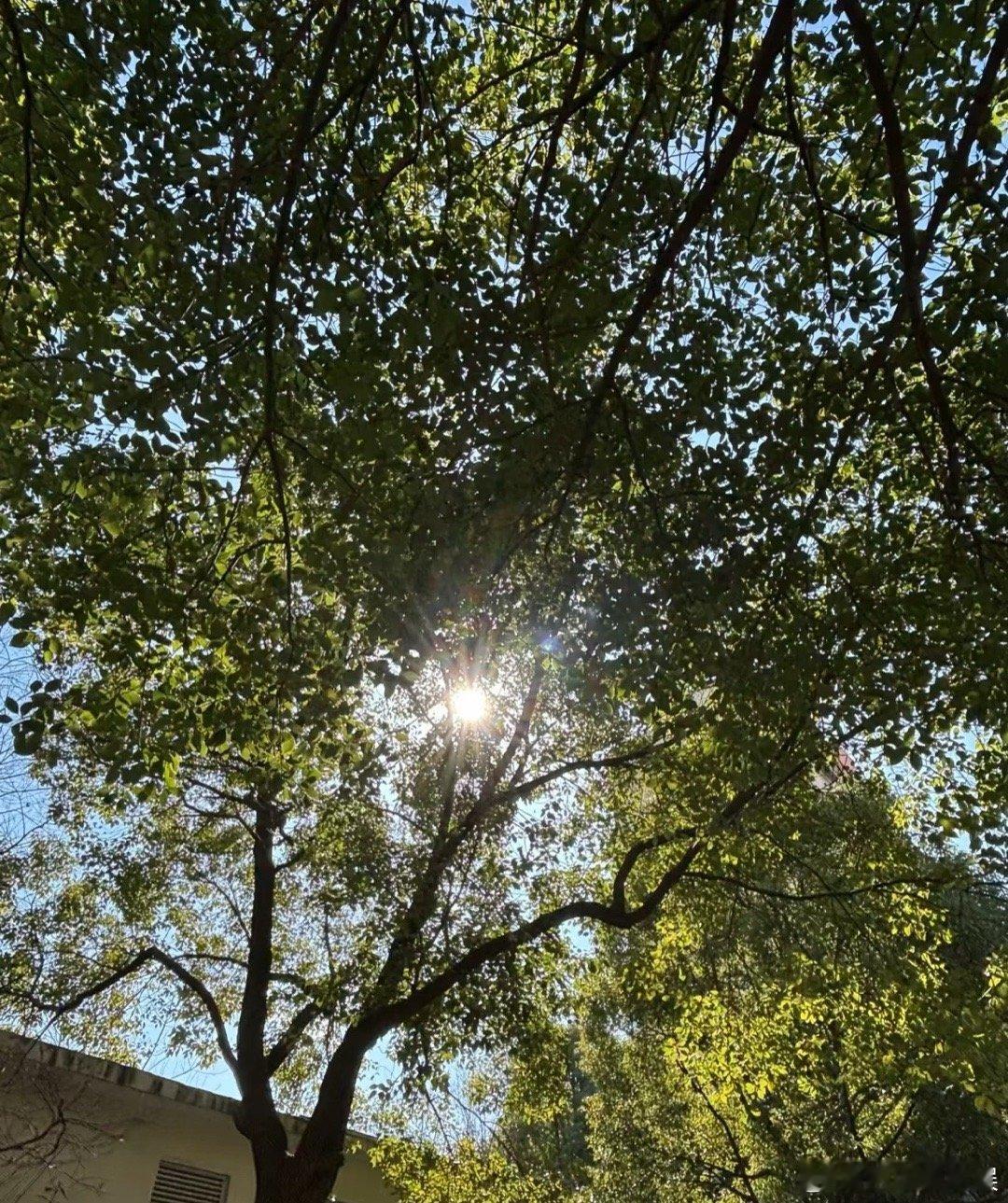 永远不要只看见前方路途遥远而忘了从前的自己坚持了多久才走到这里。.​​​