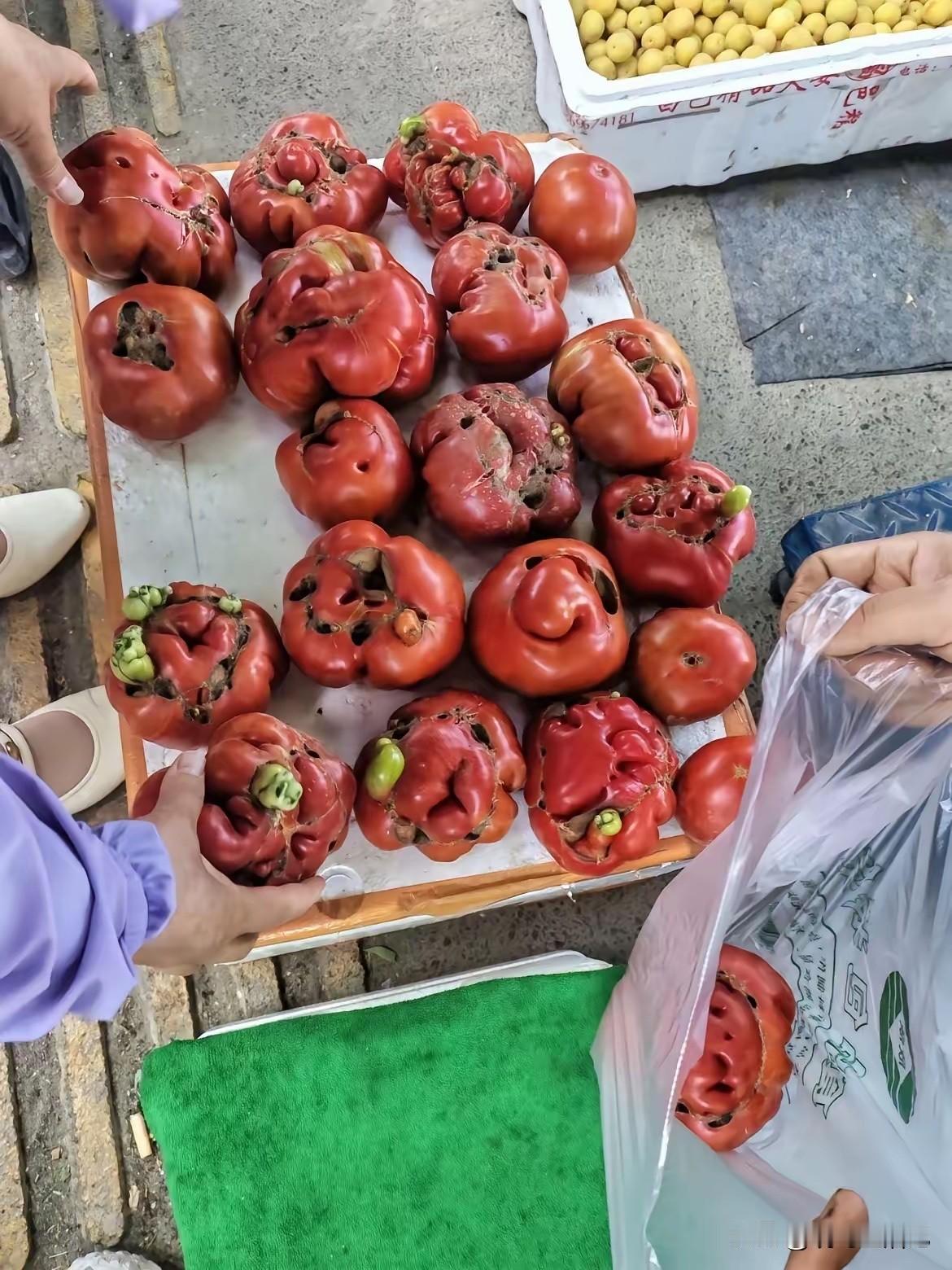 番茄看着怪怪的，反正我不敢买，