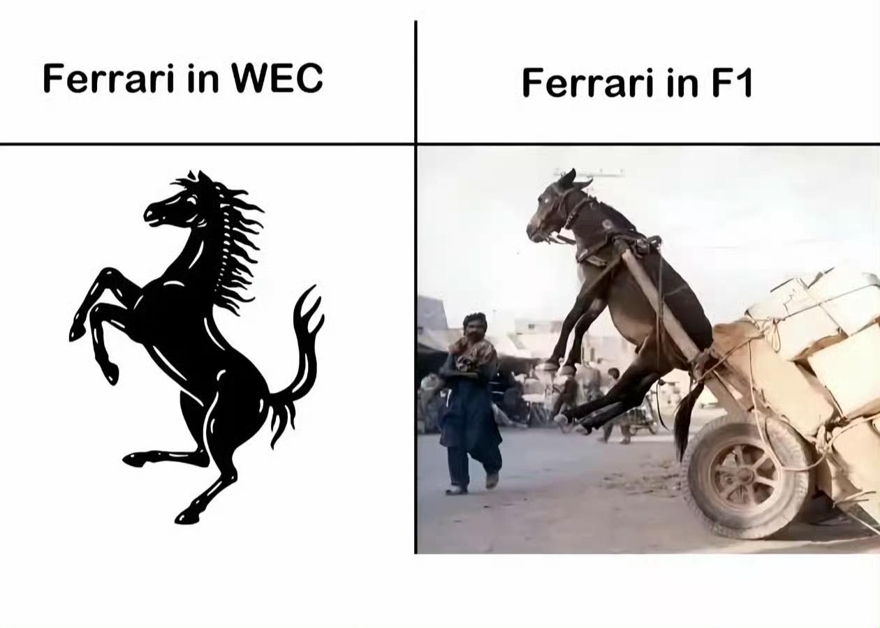 每次看Wec这边，感觉我法还没完；但是一看到F1那边，就感觉我法乙烷。WEC冠