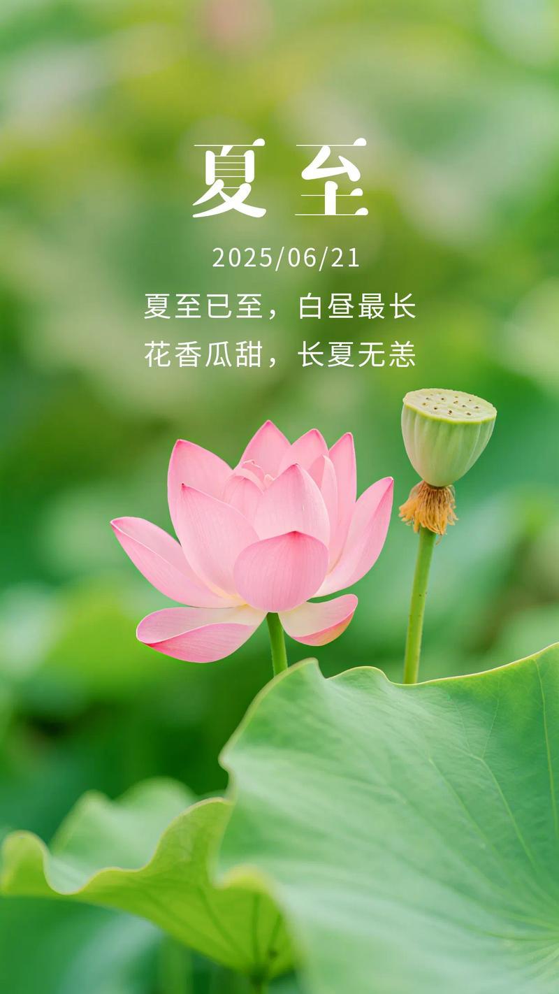 立夏抒怀春天还未相拥夏日悄然临穹清晨暖阳遍洒大地复苏情浓林间鸟儿欢