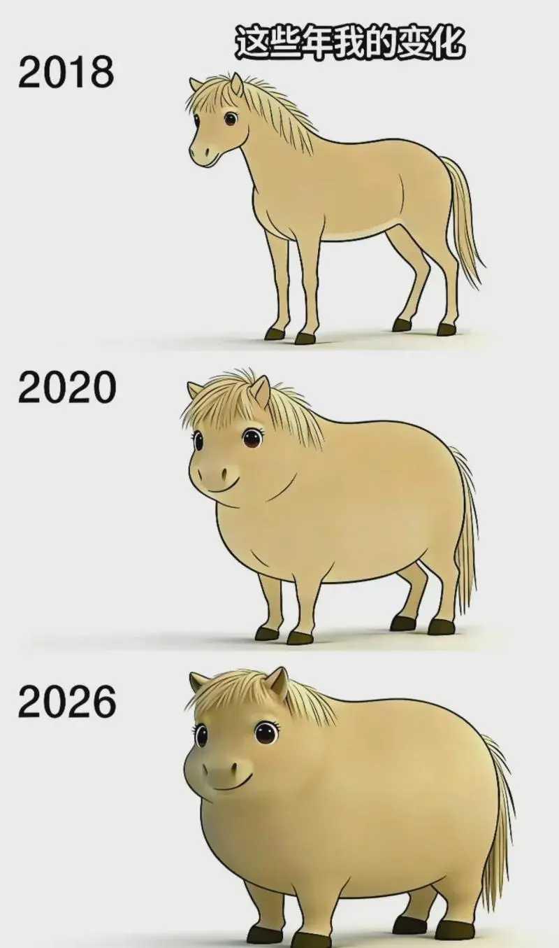 这些年我的变化