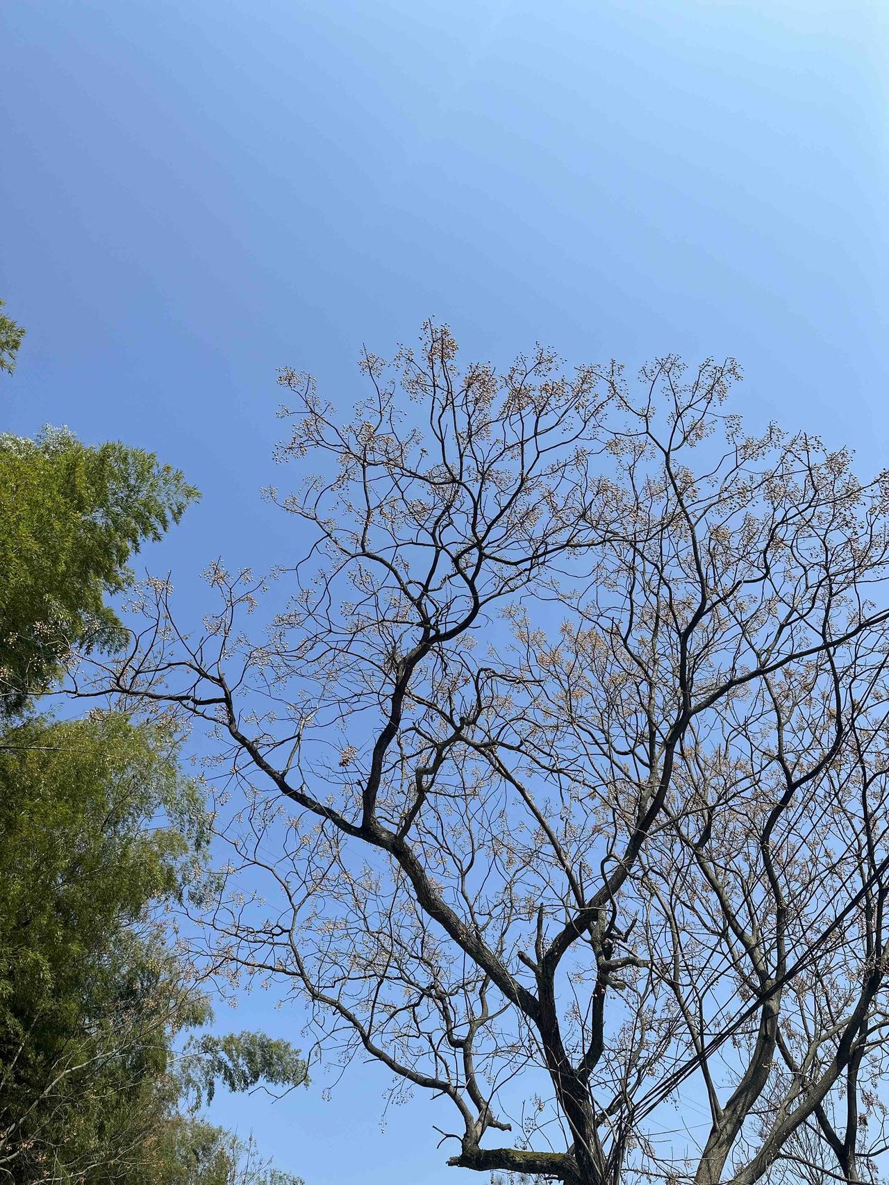 简单总结最常见原因：1.人性弱点被抓住•贪小便宜：高回报、免费领、低