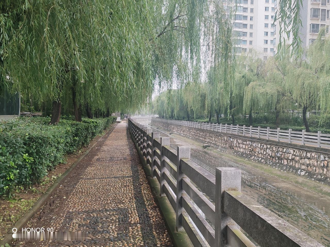 老师踏实教书,能否评上职称?老师踏实教书是评上职称的重要基础，但不一定能保证评上