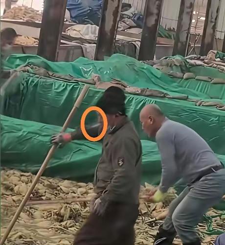 这个工人可把老板害惨了酸菜池里吞云吐雾一口污物吐进去还踩两脚动作熟练得