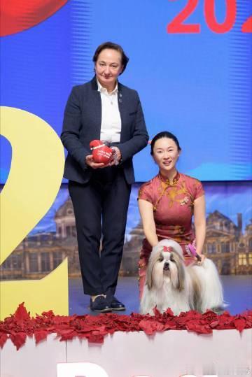 霍思燕爱犬在国际比赛夺冠霍思燕在国际犬展上的成功，不仅仅是对个人努力的认可，更