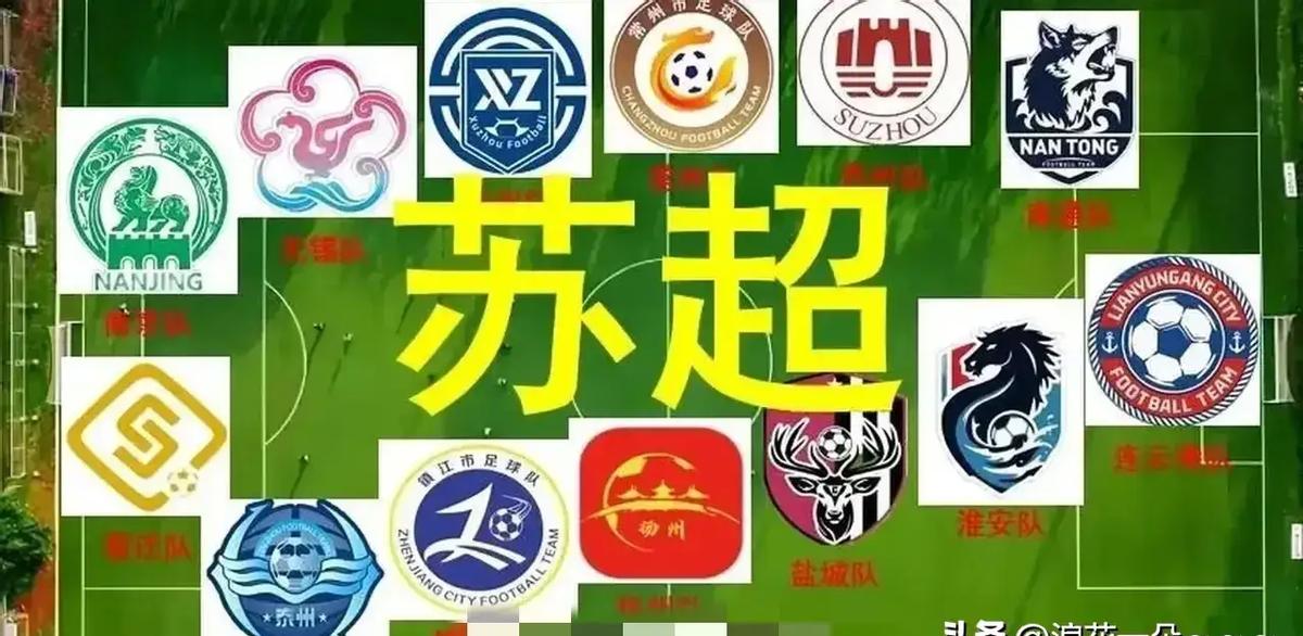 **百亿富豪的塑料碗，比千万赞助更懂足球。**当刘强东把西装换成白T恤，把红
