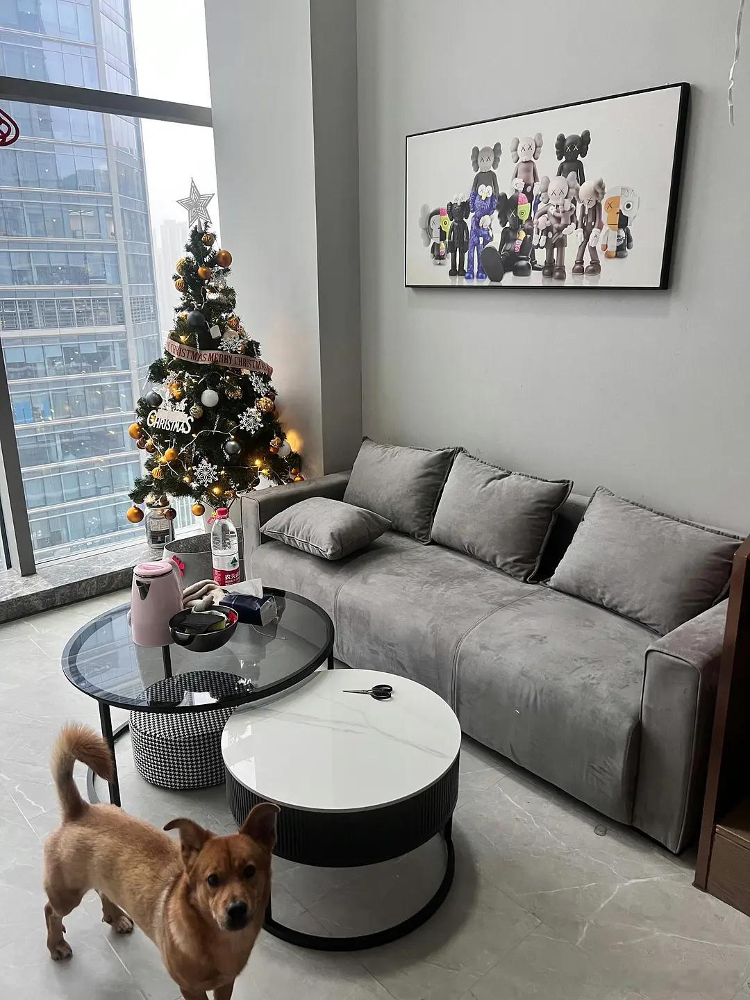 美嫂也是真爱了，这么乱的房间还能收拾出来