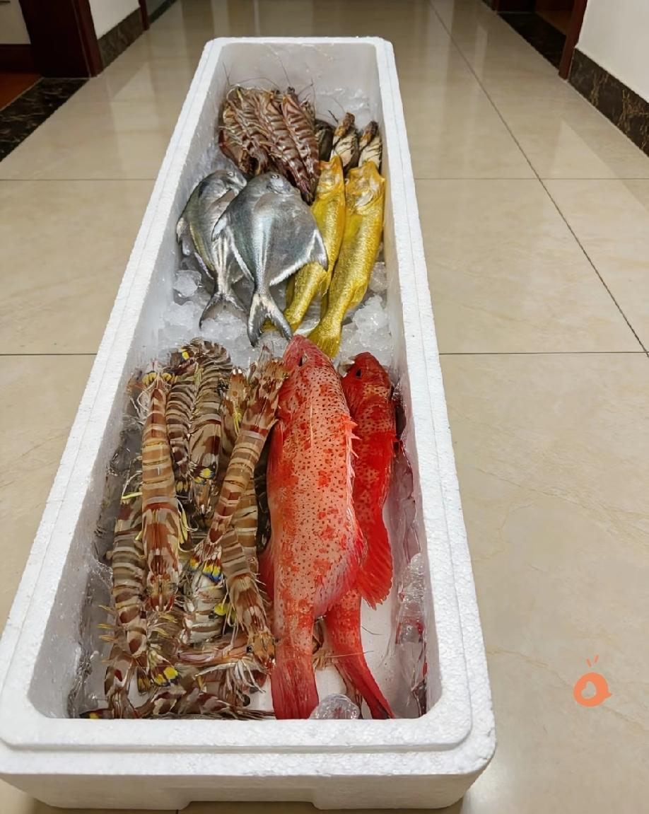 都说山东女婿实在，今年算是见识了。过年收到的海鲜箱太沉了，红鱼鲜亮，虾比手还大。