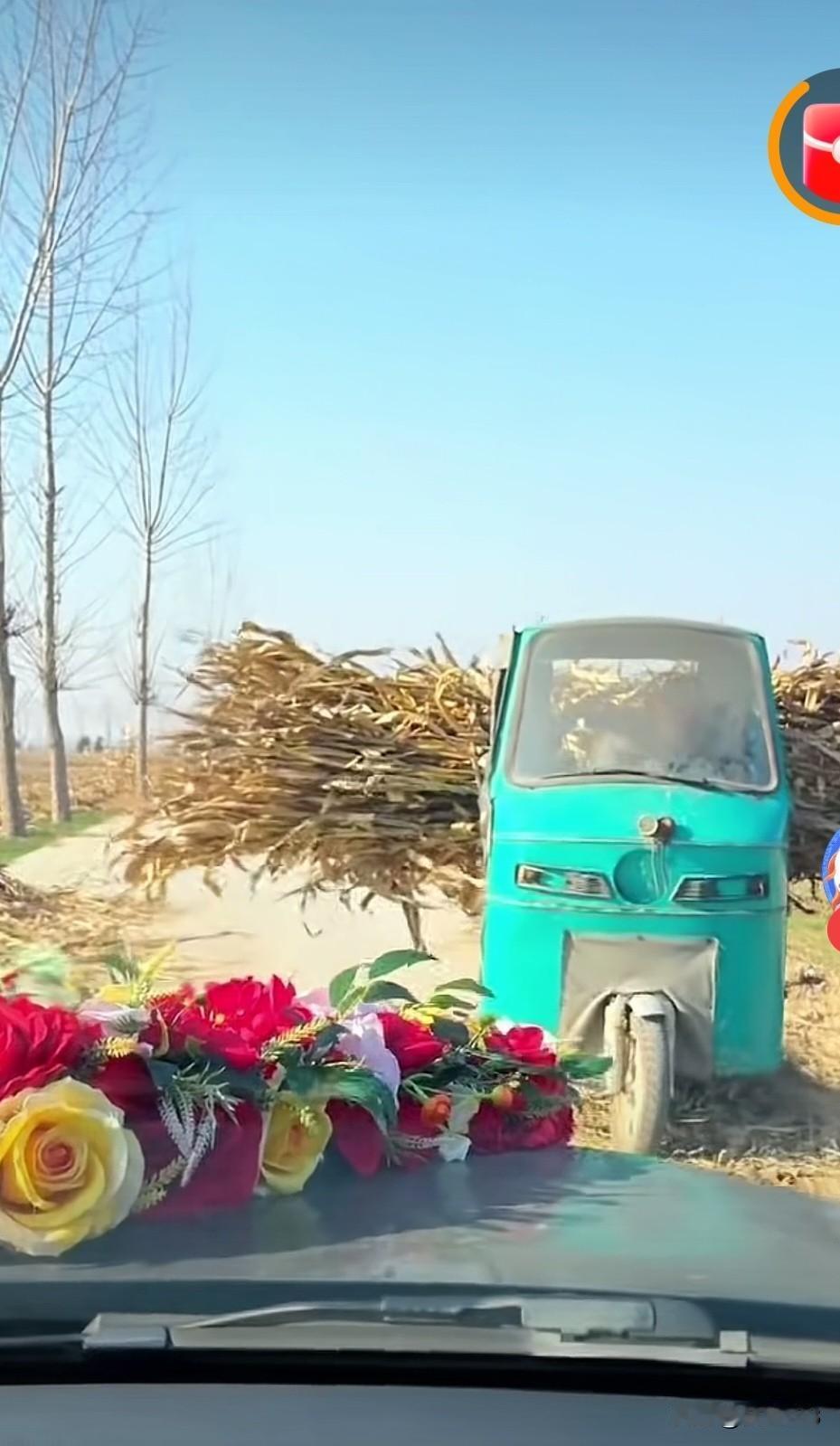 感人，在村道上，山东大哥为了给婚车让路，把自己的三轮车推倒了，车上拉的玉米杆，他