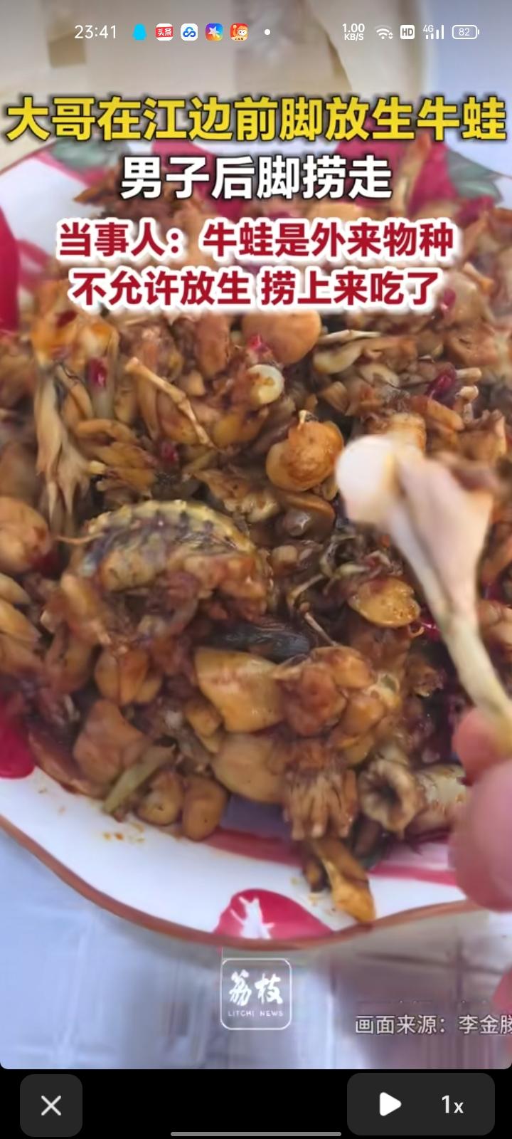 6月24日，黑龙江齐齐哈尔。网友晒视频称，在江边玩摩托艇，看见黑衣男子放生牛蛙，