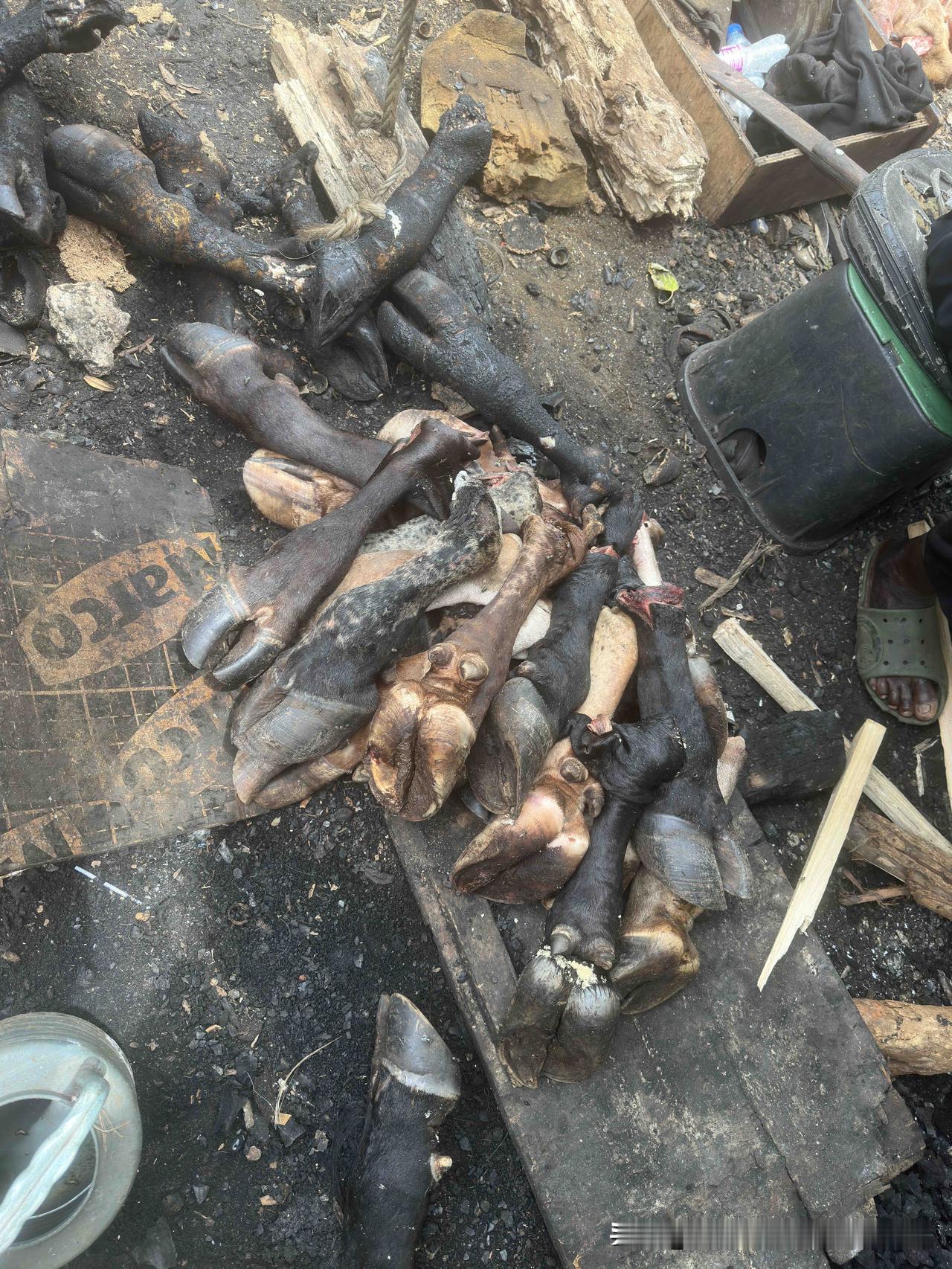 来几内亚一个多月，海鲜、牛羊肉差不多尝遍了，突然脑子里冒出个念头——想吃牛蹄。