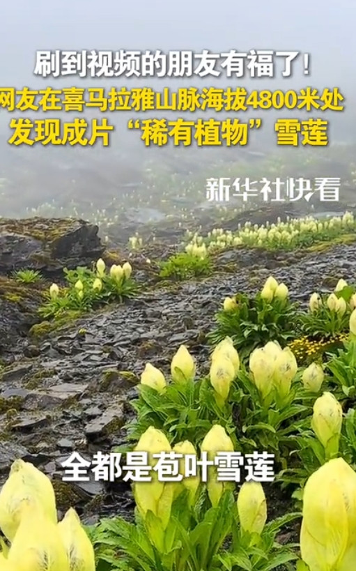 9月10日，西藏，一男子独自爬喜马拉雅山，爬到海拔大约4800米时竟不想下山了，