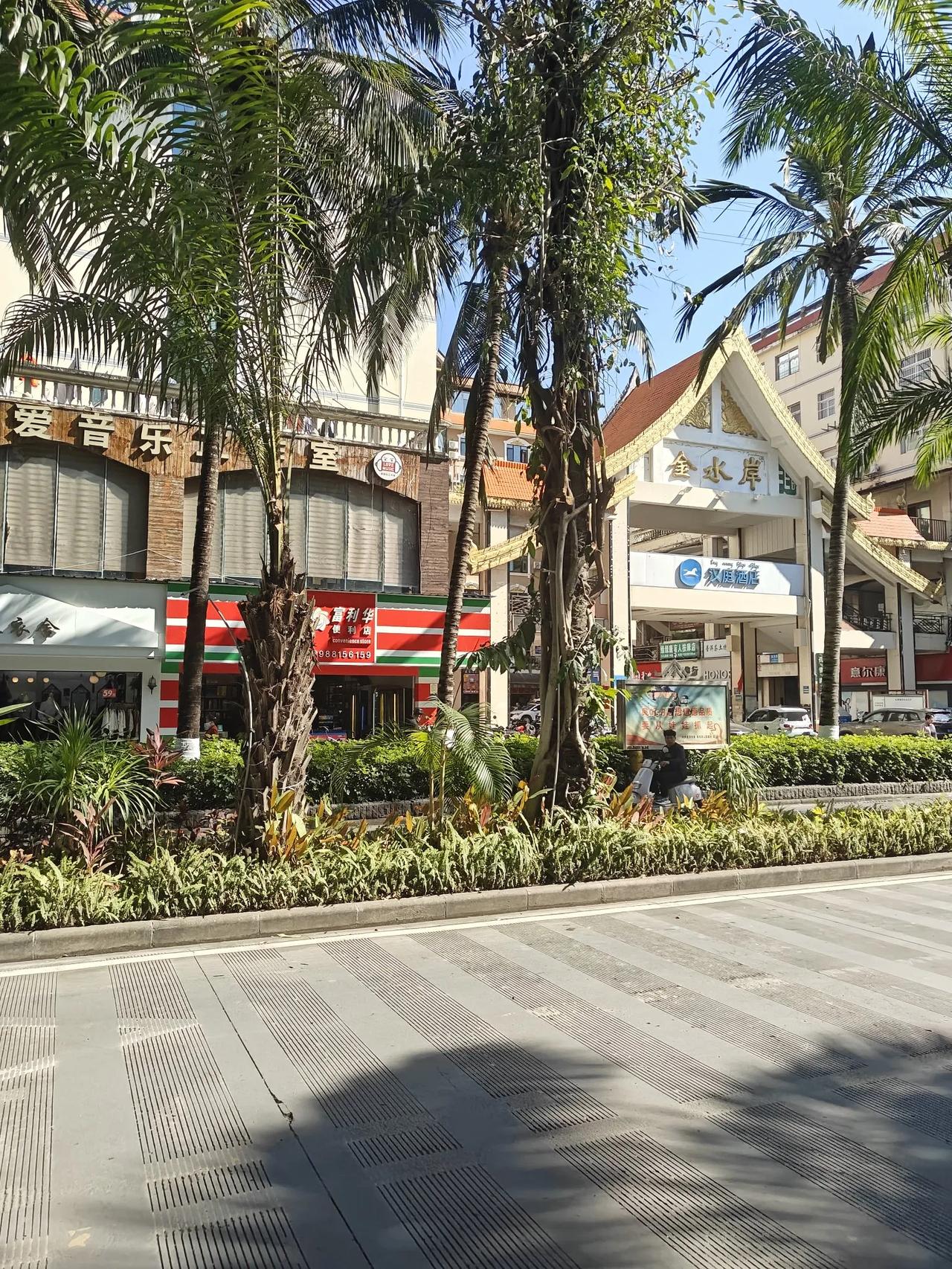 我这些日子房颤，早播，不是早上播放。好像不是这个播。​全身无力，胸口疼。​我