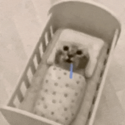 午餐吃了吗您
