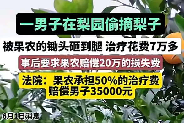 6月1日，广西一男子偷梨逃跑时从树上下来摔伤，反向园主索赔20万。法院判园主赔偿