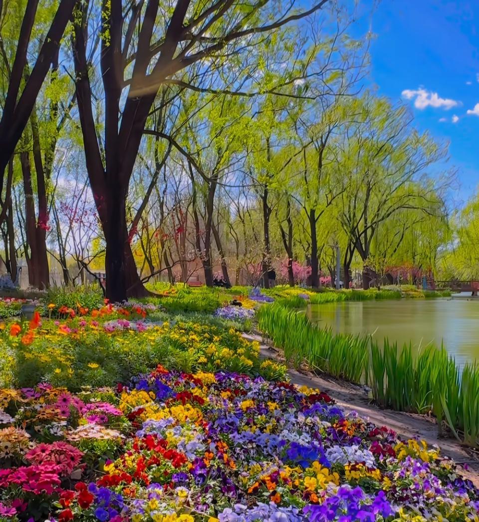 昨天（4月15日），北京二手房网签量爆量创本月新高！然而，“实时成交量”似乎更能