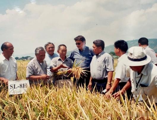 “应该立即死刑！”央视新闻在2024年4月14日曝光了一起惊天大案：我国杂交水稻