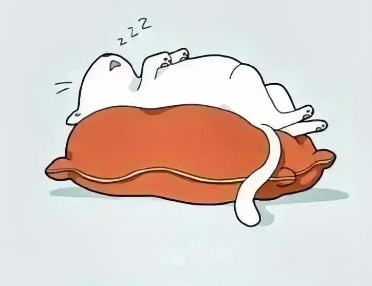 每次我领导折腾人，我就想立马辞职真的觉得她处事方式有问题难怪她儿子不听话，天