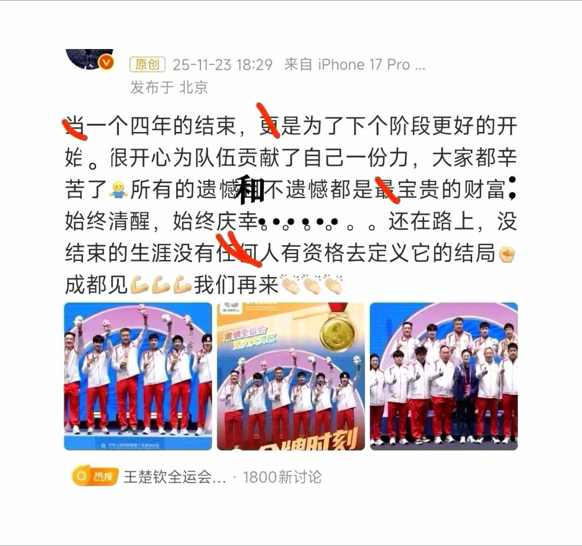 热心网友为鸽鸽批改全运总结小作文