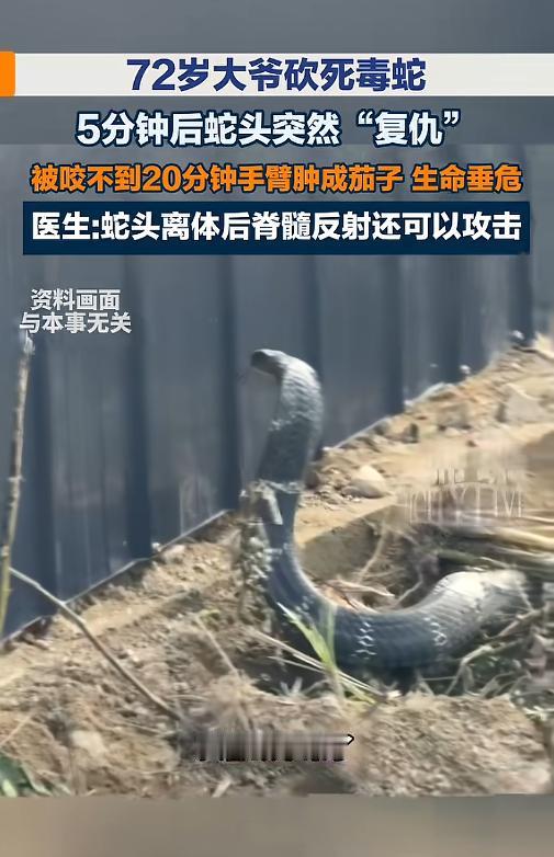 🌞“这都还能咬人？”7月29日报道，浙江，一位72岁的大爷在钓鱼时，偶遇了