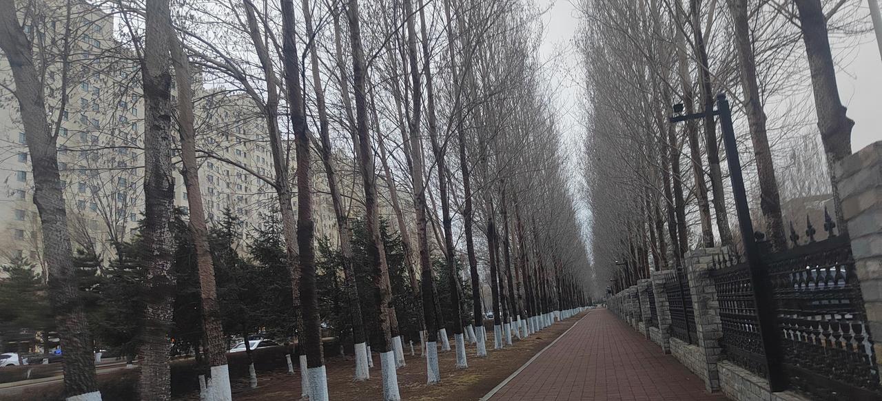 很多人都这么说，当然我也这样认为，人不是老了才会死，而是随时都会死去。况且我已经