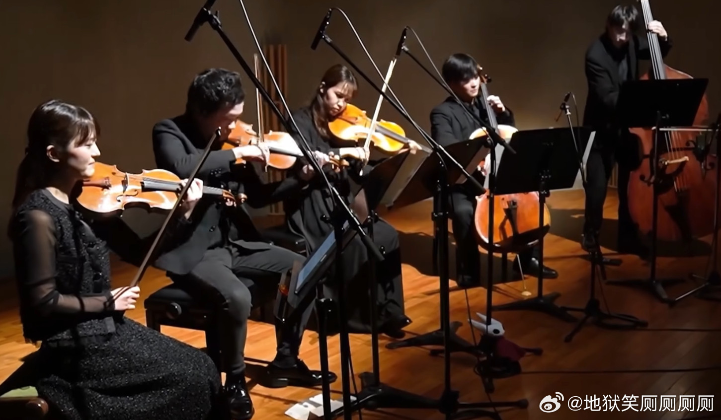 1559霍尼特就这样淡淡地叉在支架上