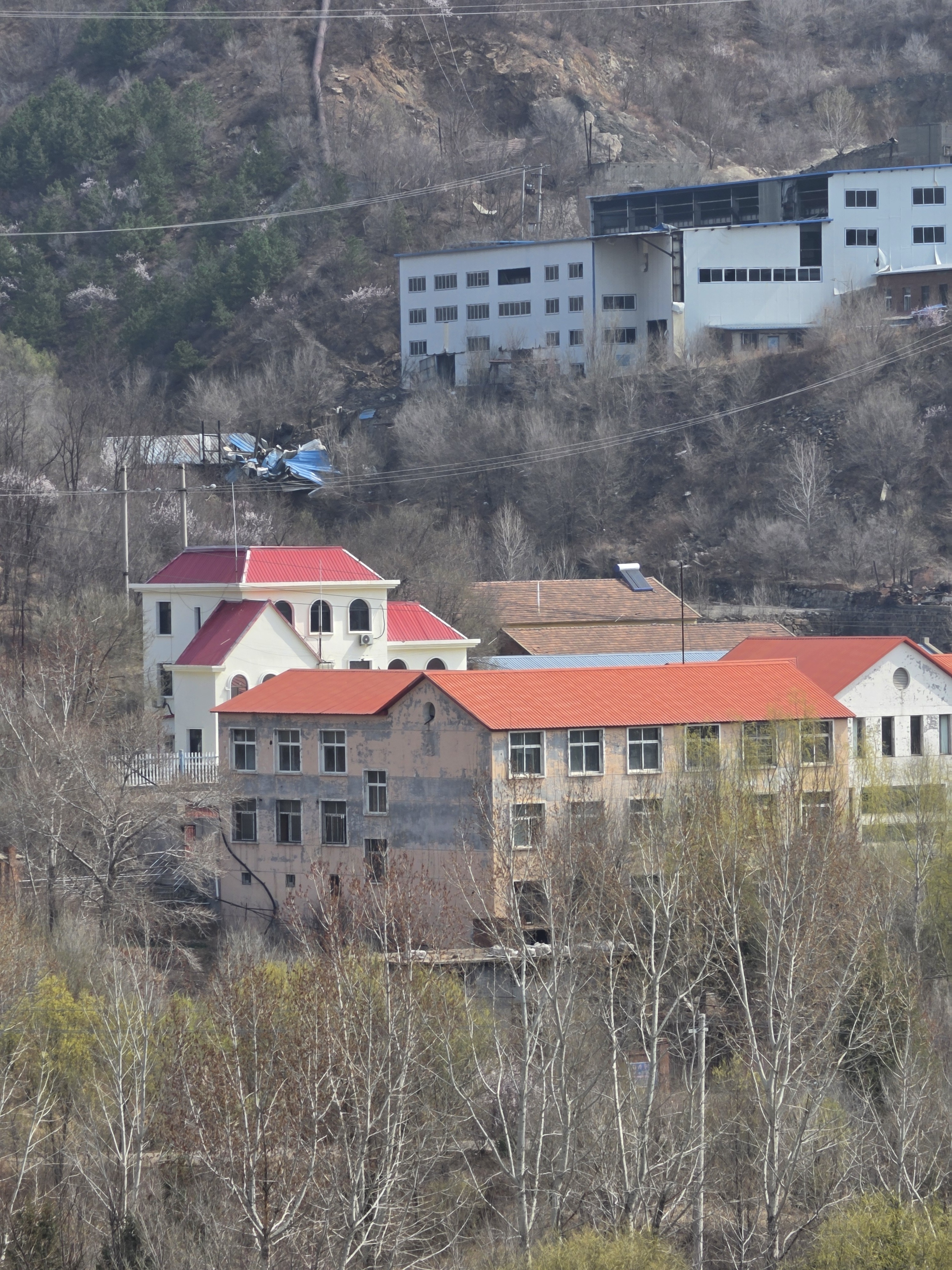 三星GalaxyS26Ultra，更改设置后，画质比三星默认设置强太多了。