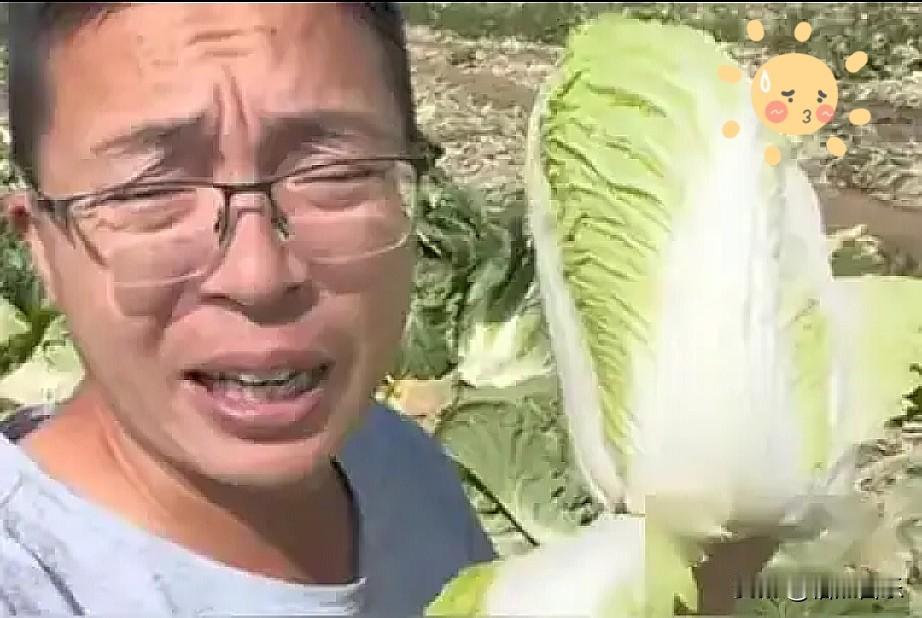 这甲醛白菜的新闻一报道，最焦虑不是种菜的农民工，而是做干菜贩子，我表哥就是干菜贩