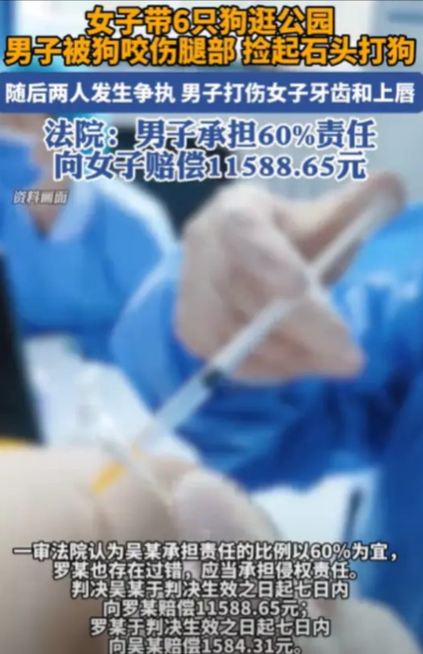 新疆乌鲁木齐，女子和女儿带着6只狗逛公园，突然一只狗扑向打电话的男子，把男子的腿