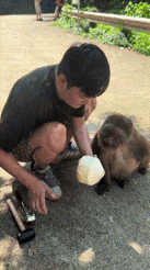猴子：这是我这辈子吃过的最甜的果汁了。