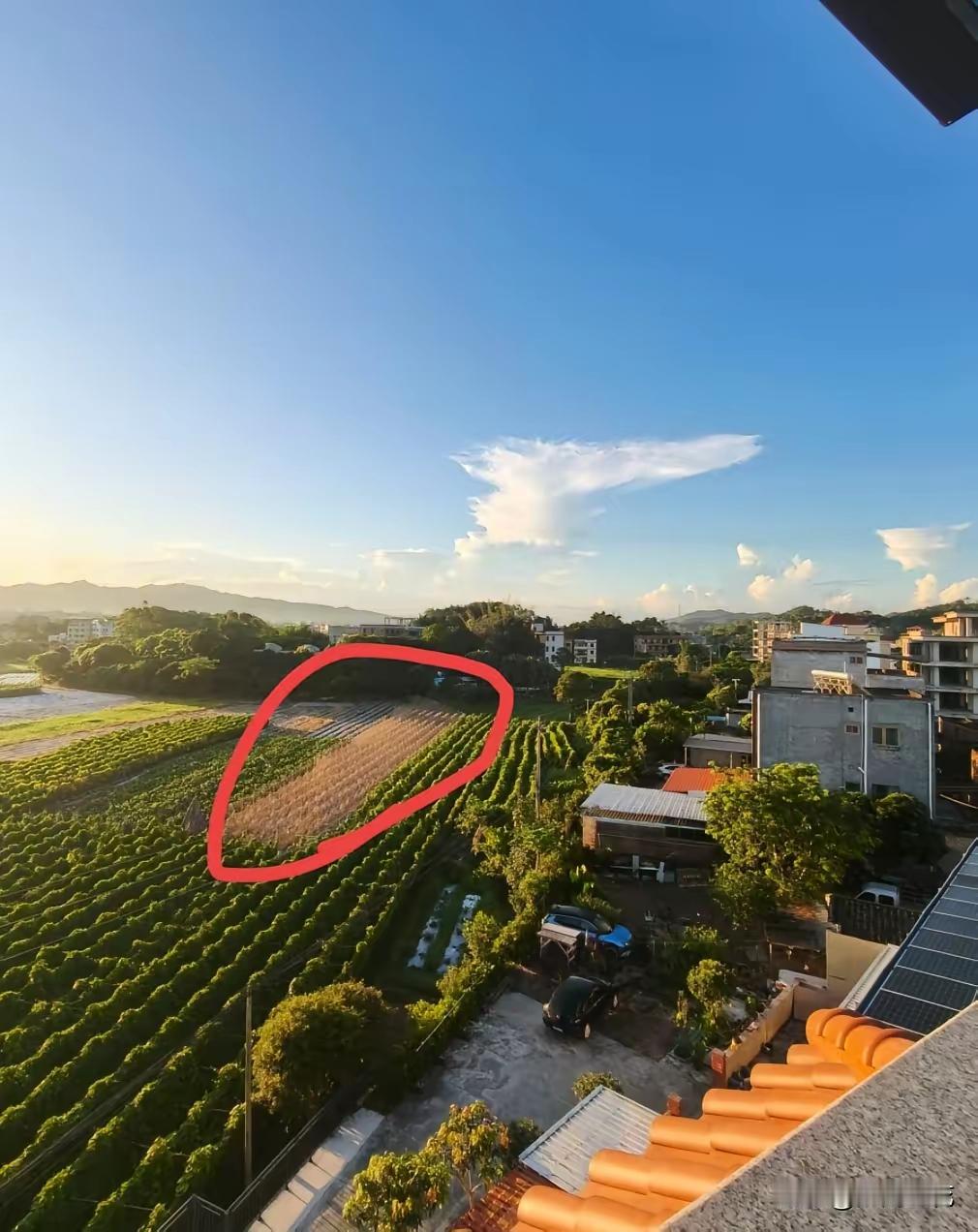 农业农村部最新政策让“躺平族”坐不住了！从2026年开始，扶贫政策将迎来大变化，