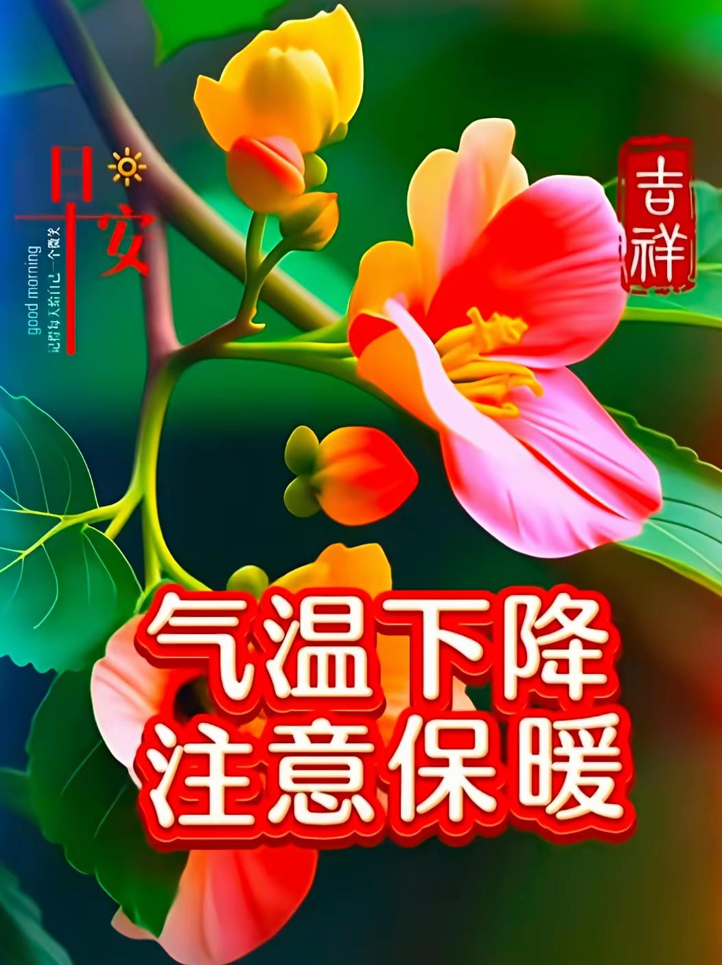 小雪时节，天气渐冷，注意保暖，祝愿你和我及家人冬无恙，身健康，一切都好！🌹🍎