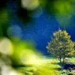 婺源美景，心驰神往…