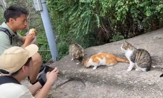 师父去爬山遇到太多的朔粉了，原来这个人还是如此爱猫，去哪里都爱！
